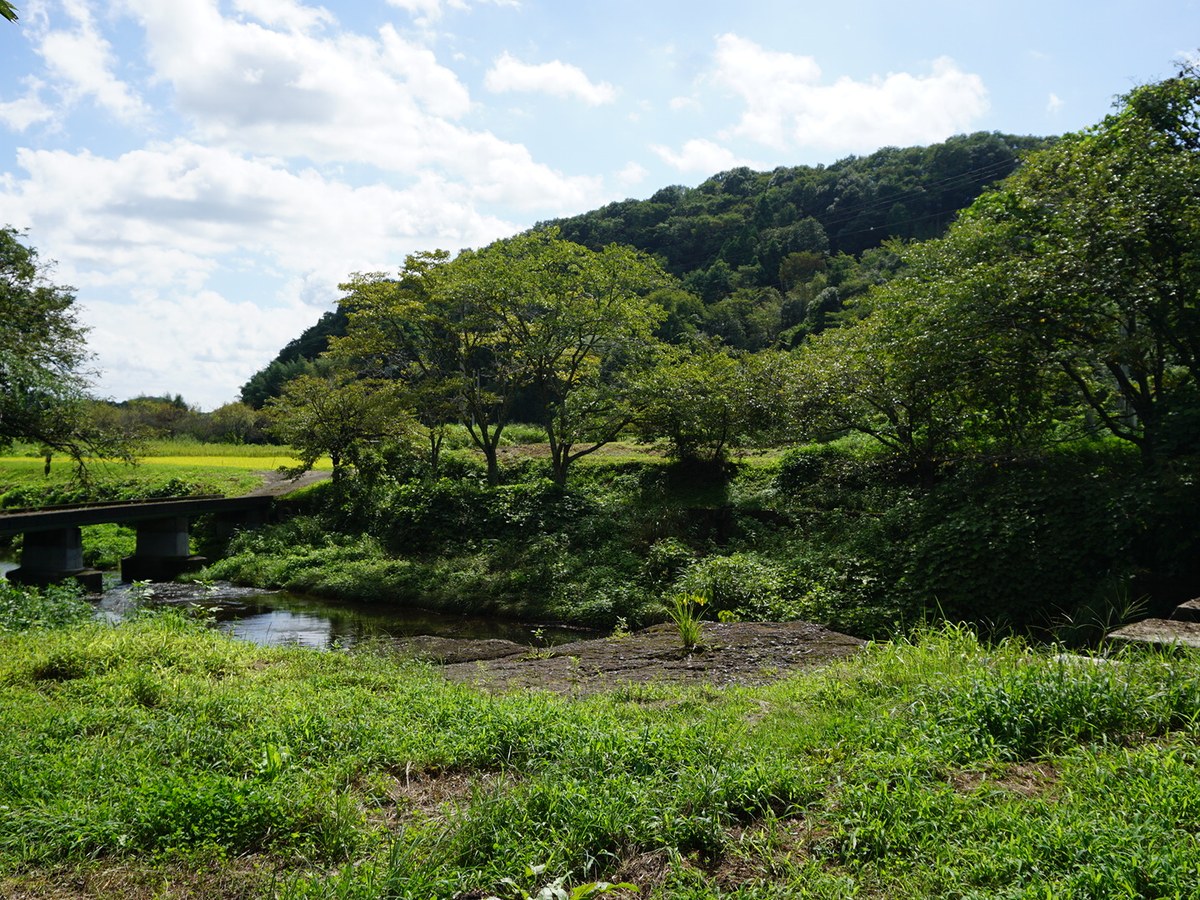 隠れ方・気配を消す